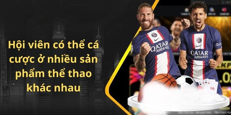 Hội viên có thể cá cược ở nhiều sản phẩm thể thao khác nhau