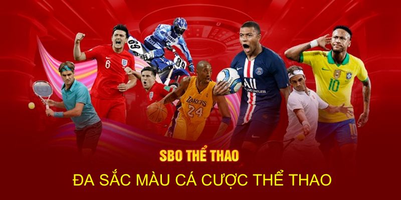 SBO thể thao