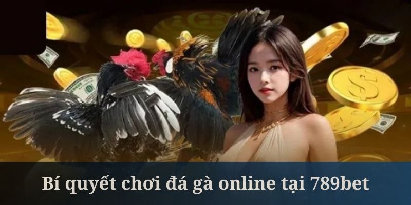 Cách chơi đá gà online là chọn các đơn vị nhà cái uy tín