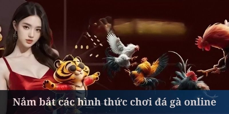 Cách chơi đá gà online khá đa dạng ở các loại hình