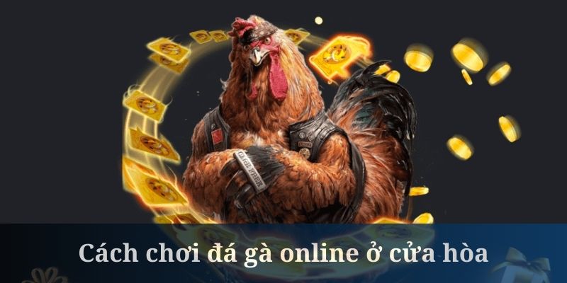 Cách chơi đá gà online ở cửa hòa không được chọn nhiều