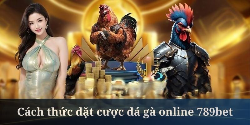 Cách chơi đá gà online cần đưa ra phân tích kỹ lưỡng