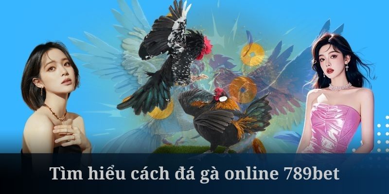 Cách chơi đá gà online