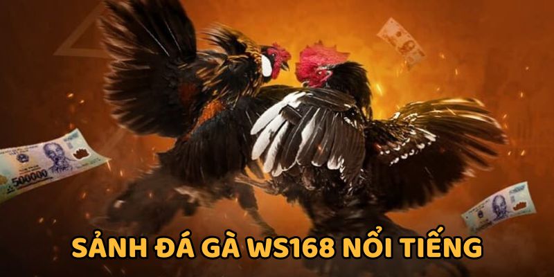 Đá gà WS168 nổi tiếng kịch tính