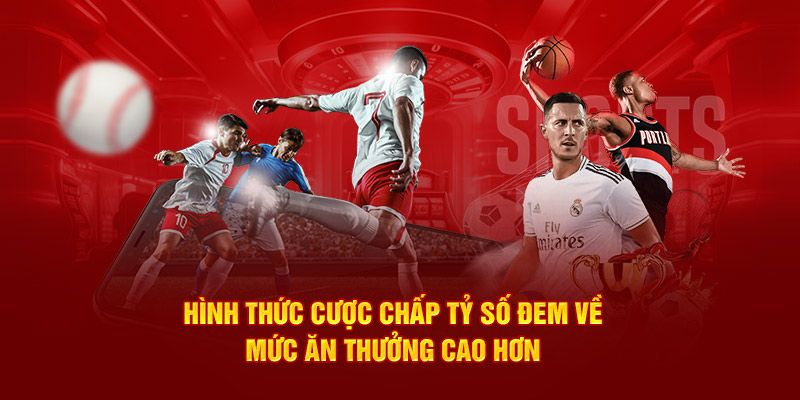 Đa dạng hình thức cá cược tại sảnh SBO thể thao