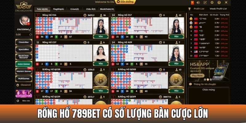 Nhà cái cung cấp số lượng bàn cược Rồng Hổ cực lớn