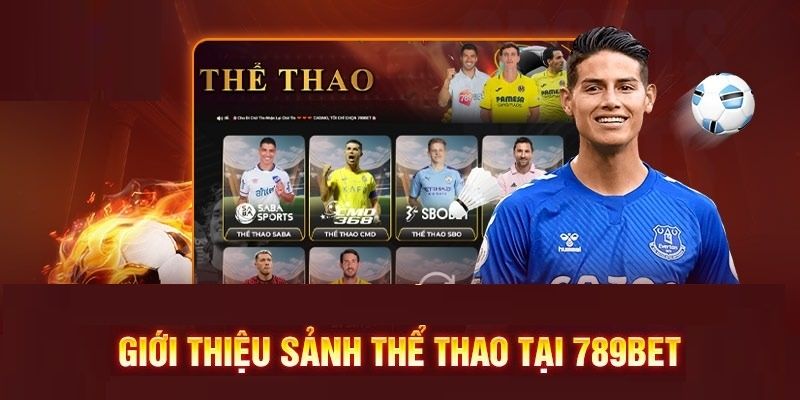 Thể thao 789BET - Sảnh cược hay nhất năm 2025 